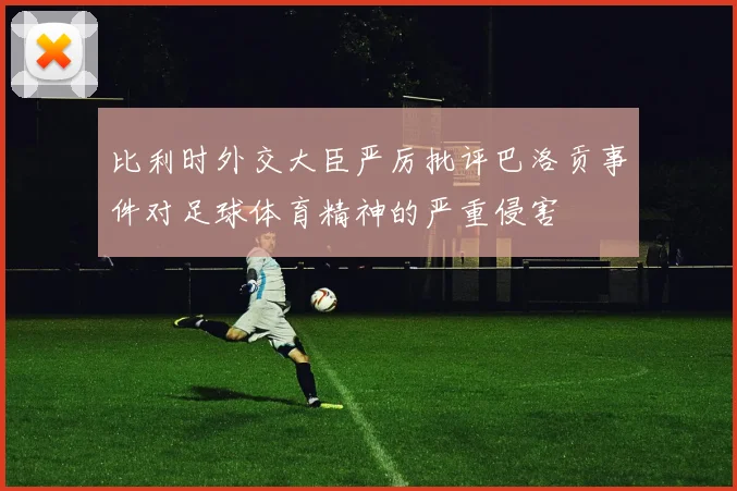 比利时外交大臣严厉批评巴洛贡事件对足球体育精神的严重侵害