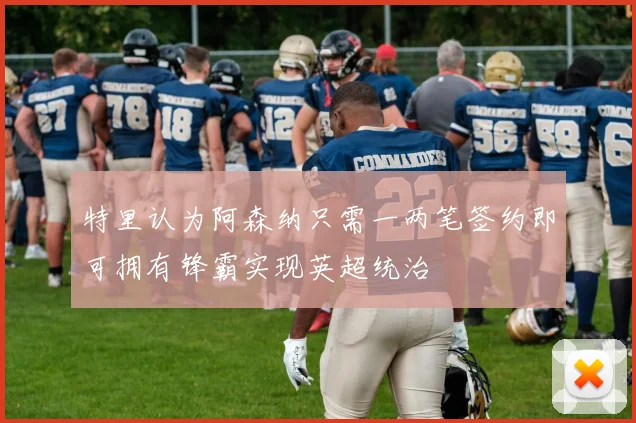 特里认为阿森纳只需一两笔签约即可拥有锋霸实现英超统治